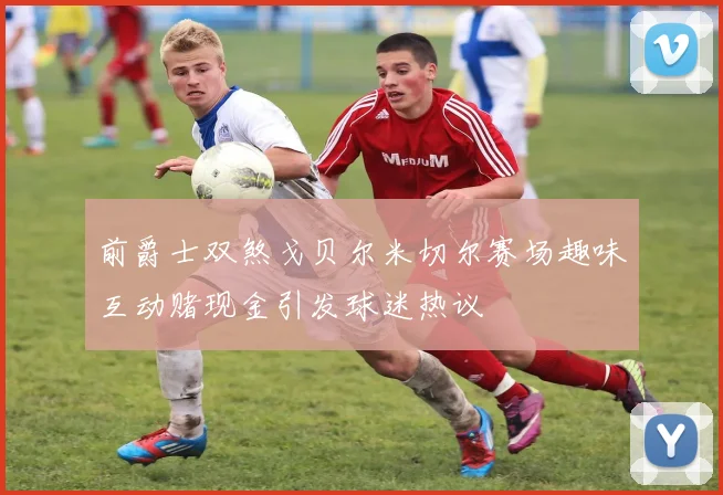前爵士双煞戈贝尔米切尔赛场趣味互动赌现金引发球迷热议